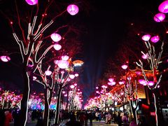 -大雁塔北广场音乐喷泉