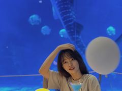 -烟台海昌鲸鲨海洋公园