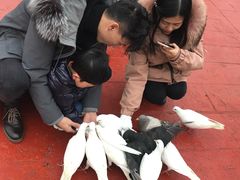-黄龙溪欢乐田园