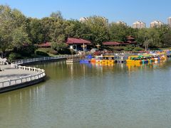 -塘沽森林公园