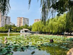 -团结湖公园