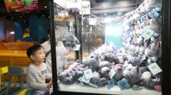 -汤姆猫亲子乐园(保利Mall店)