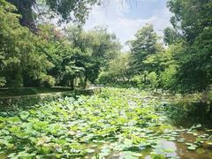 -云溪植物园