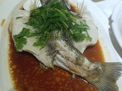 泼油香葱鱼-旭璟酒家·传统粤菜·湘菜(逸景路店)