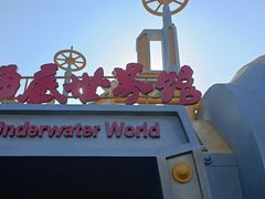 -上海海昌海洋公园