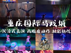 -重庆国际马戏城
