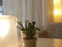 -Babycat私家御饼屋(龙头路一店)