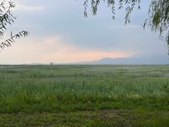 -野鸭湖国家湿地公园