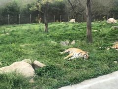 -西安秦岭野生动物园