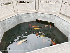 -西安市广仁寺