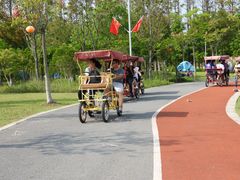 -上海长兴岛郊野公园