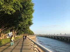 -演武大桥观景平台