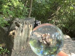-紫金山天文台