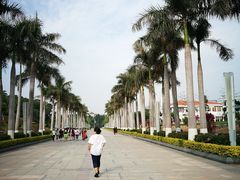 -五通灯塔公园