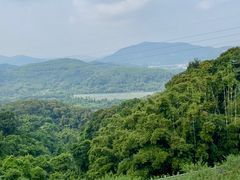 -广州市帽峰山景区