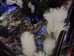 -绿茶餐厅(昆明世纪金源店)