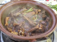 -霞姐屯昌枫木香草鸭店(海螺店)