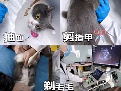 -达爱动物医院·犬猫分区·CT·复杂眼科(远洋山水分院)