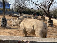 -西安秦岭野生动物园