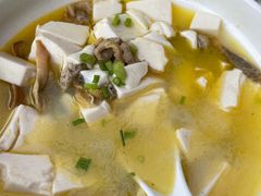 蚌肉豆腐-鼎鲜·蟹农渔水·阳澄湖大闸蟹·农家乐(美人腿店)