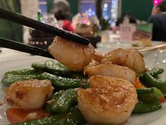 蜜豆带子-三号黄浦会Canton Table