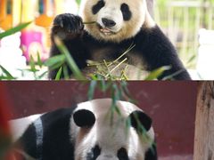 -杭州野生动物世界