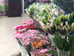 -无锡文化工艺品市场(槐古路店)
