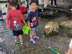 -成都市活水公园