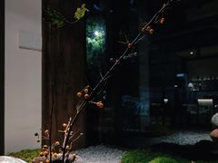 -兮禾酒馆(护国路店)