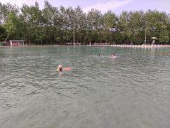 -柳浪游泳场