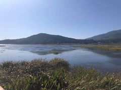 -腾冲北海湿地
