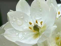 -宝鸡东道花鸟鱼虫市场(吉利花园商场店)