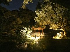 -申粤轩酒楼·三十年粤菜经典(丁香花园店)