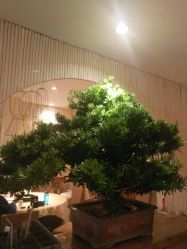 -惠食佳·宴会厅(滨江西路店)