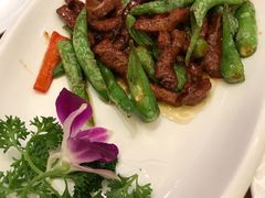 -复旦大学本部-食堂