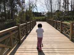 -桤木河湿地公园