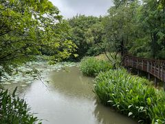 -西溪国家湿地公园