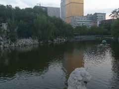 android_upload_pic-文瀛公园