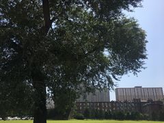 -辽宁大学(崇山校区)