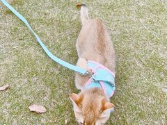 -百联南桥购物中心