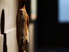 -元白和创园展厅