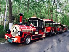 -合肥滨湖国家森林公园