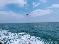 -海驴岛(荣成市)