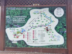 -野象谷景区