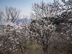 -北京鹫峰国家森林公园