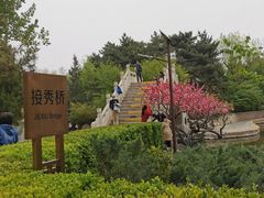 -团结湖公园