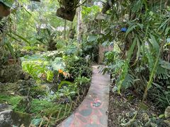 -中国科学院西双版纳热带植物园