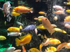 -太平洋海底世界