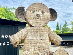 -嘉北郊野公园