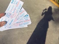 -广东惠东海龟国家级自然保护区